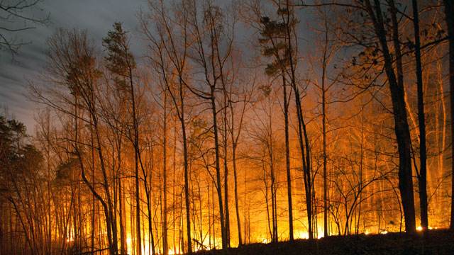 1606979339220463.jpg 1606979339220463.jpg